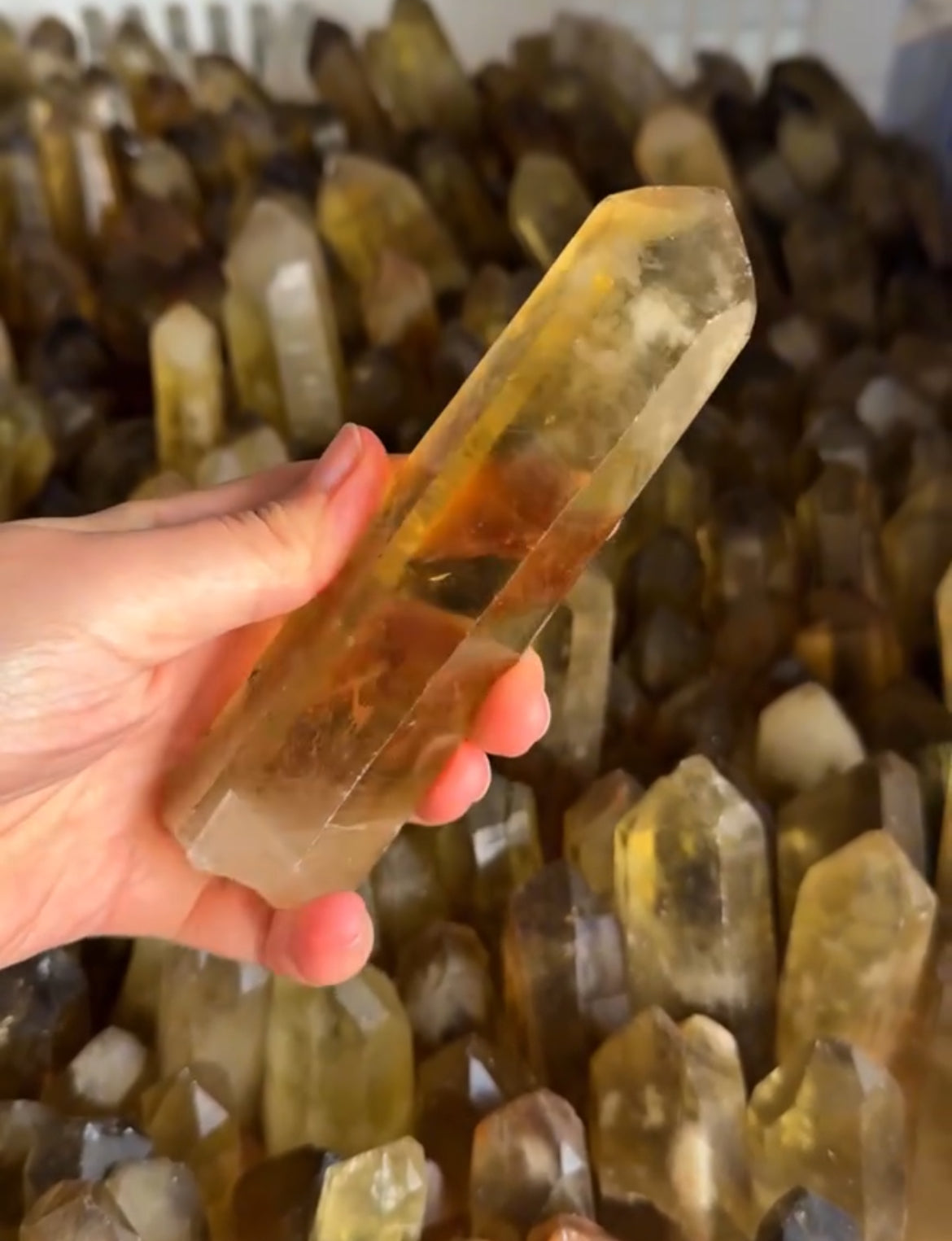 Congo Citrine Natural Points