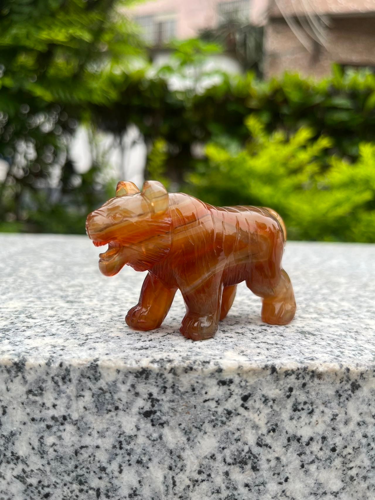 Carnelian Tiger