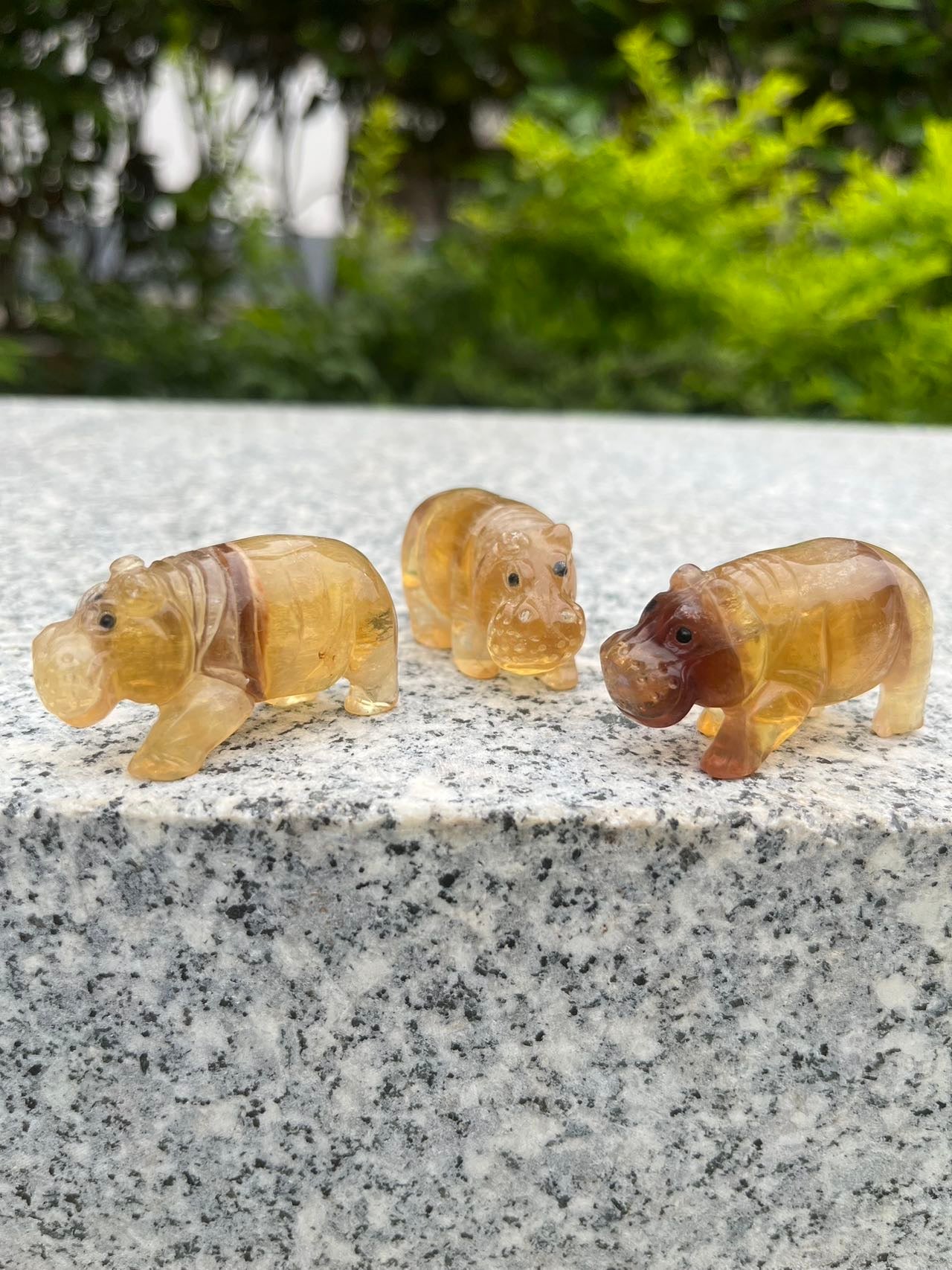 Yellow Fluorite Hippo