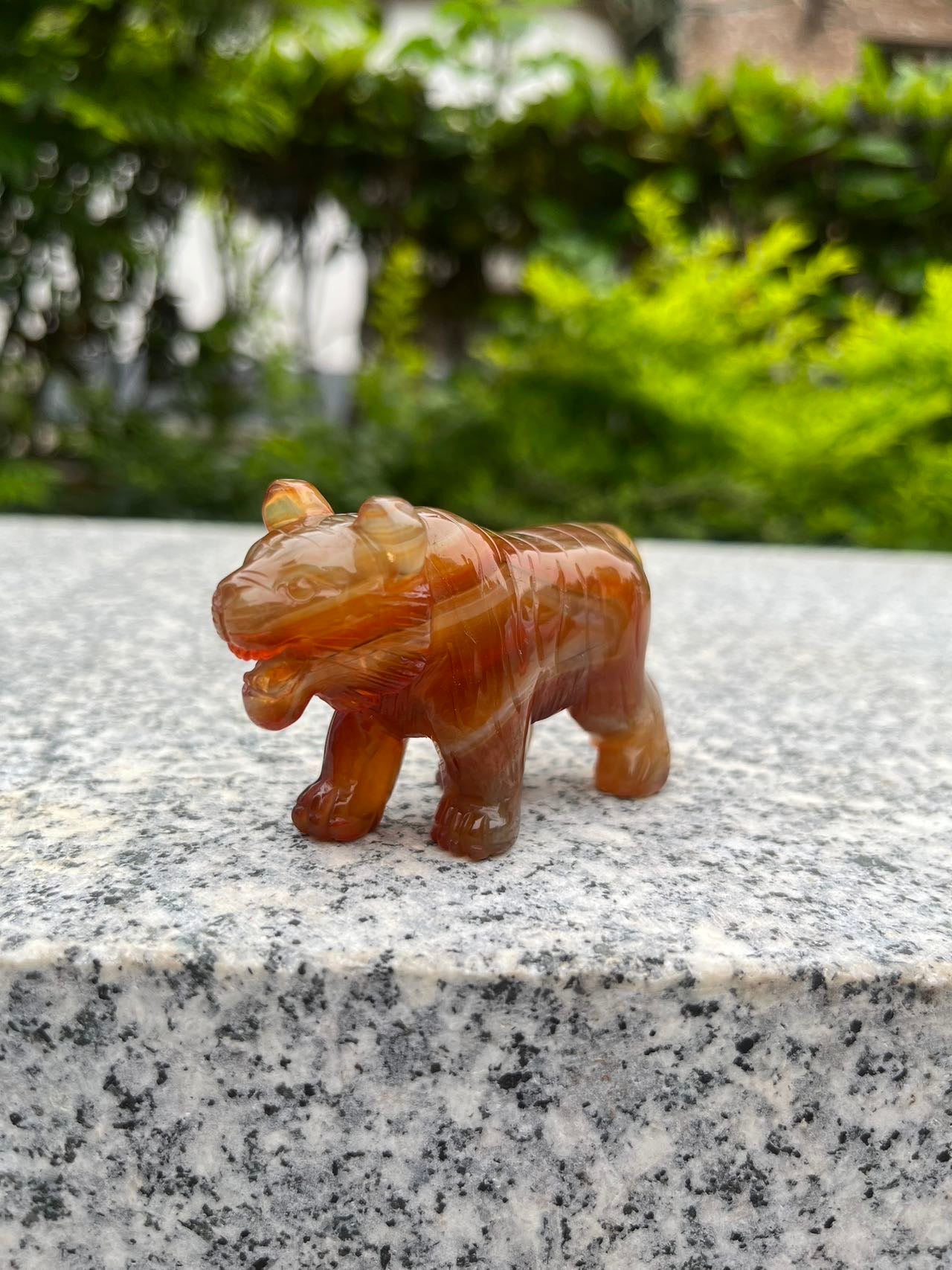 Carnelian Tiger