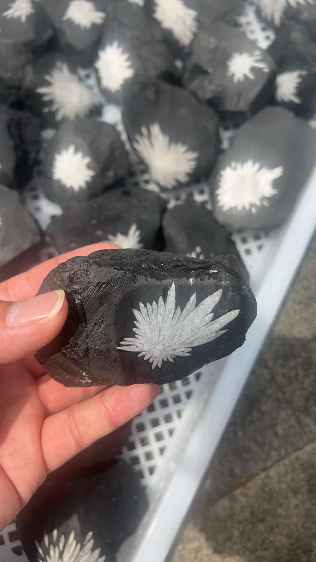 Chrysanthemum Stone