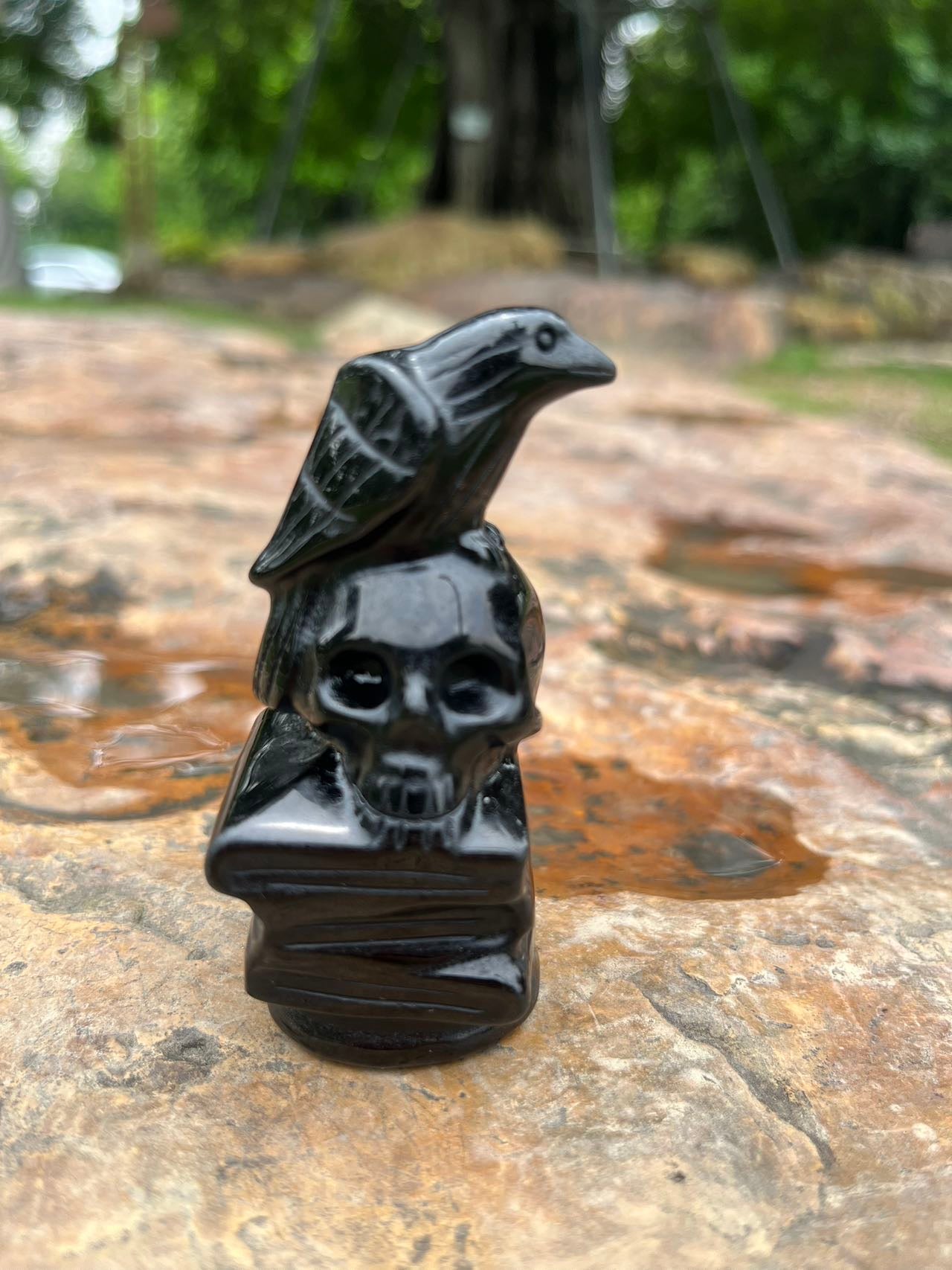 Skull Raven Black Obsidian