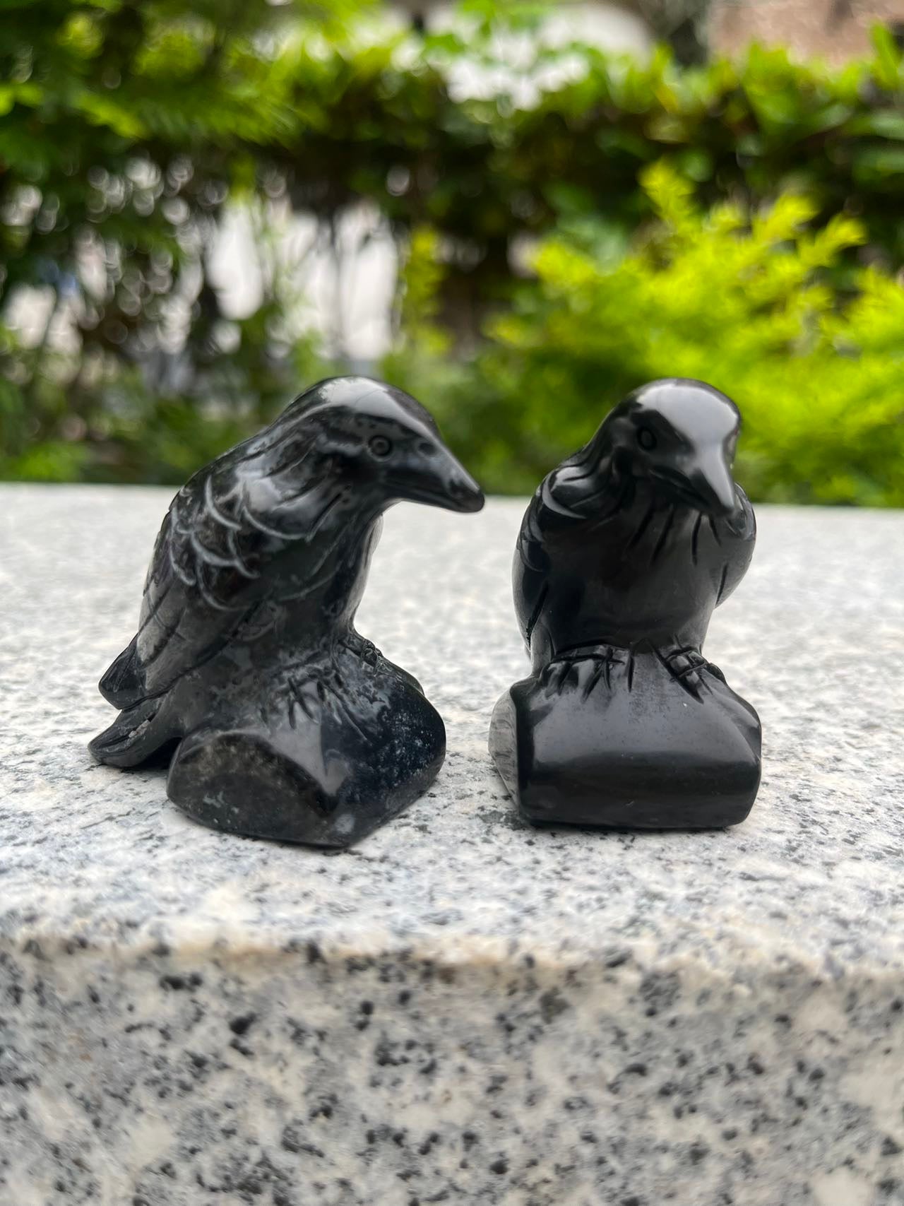 Black Obsidian Raven