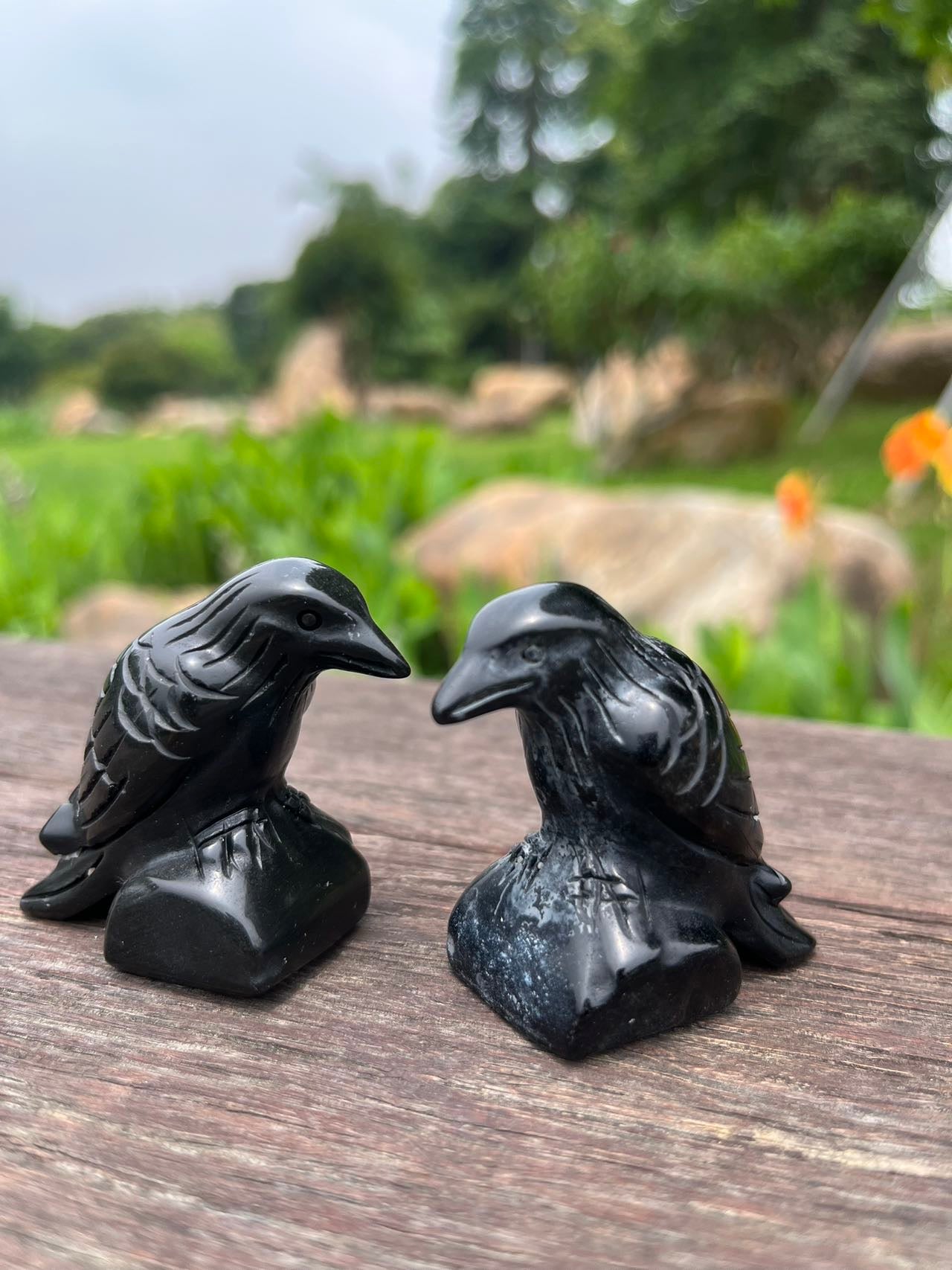 Black Obsidian Raven