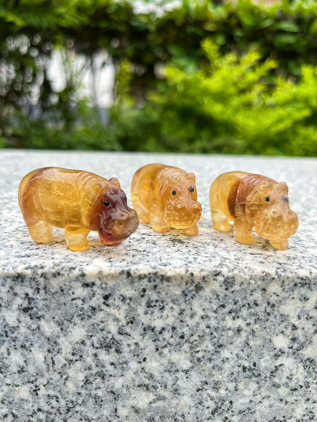 Yellow Fluorite Hippo