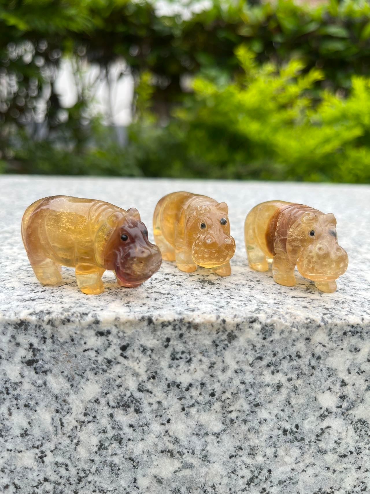 Yellow Fluorite Hippo