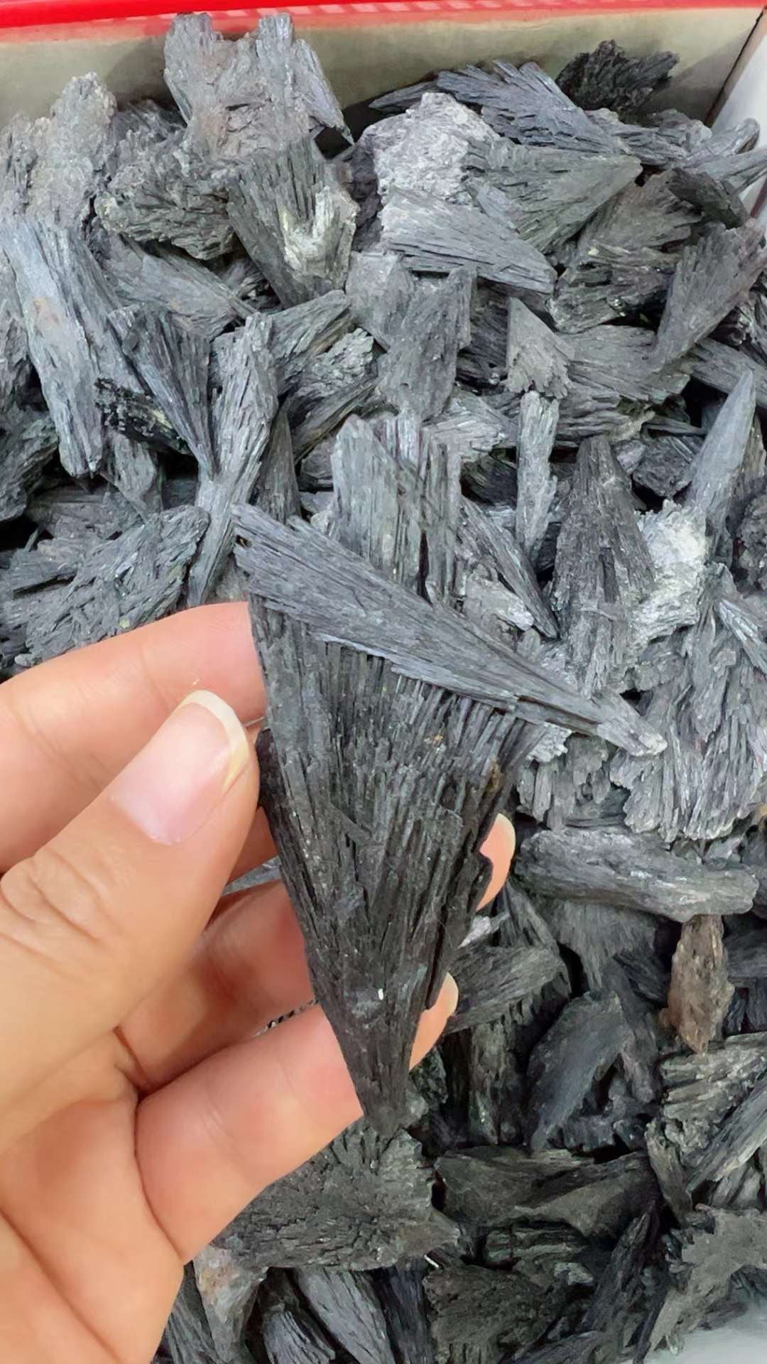 Black Kyanite Rough