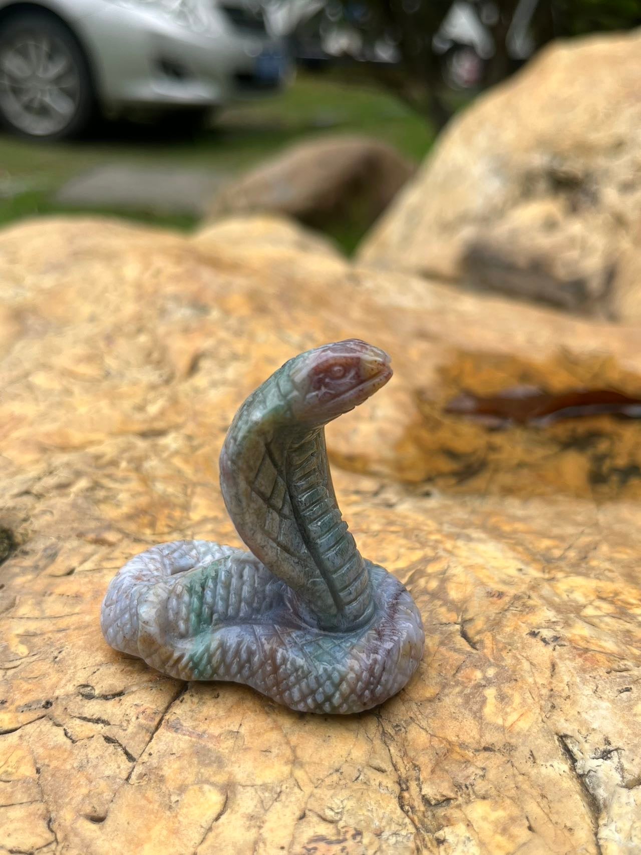 Cobra Carving Fine Carving