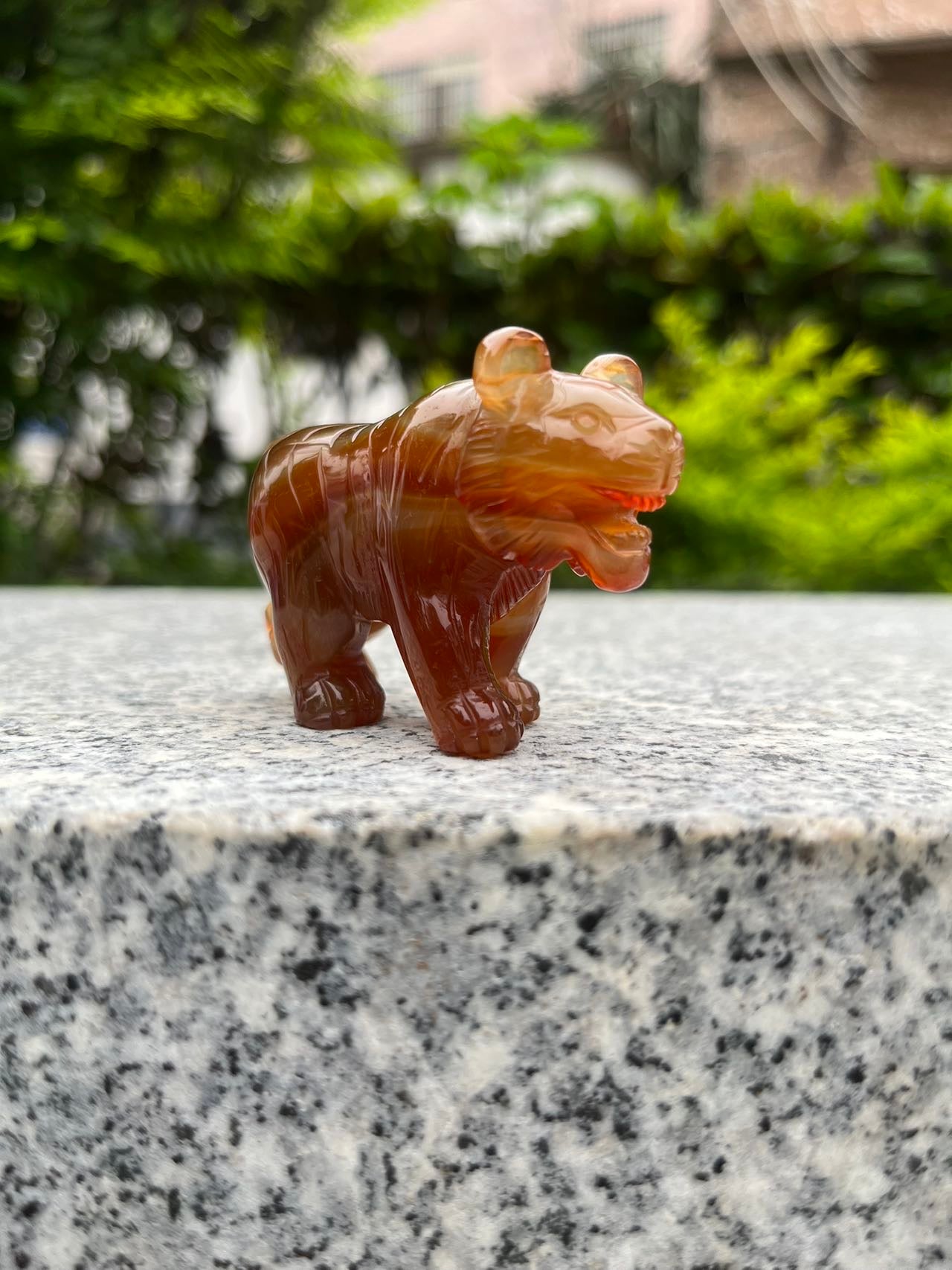 Carnelian Tiger
