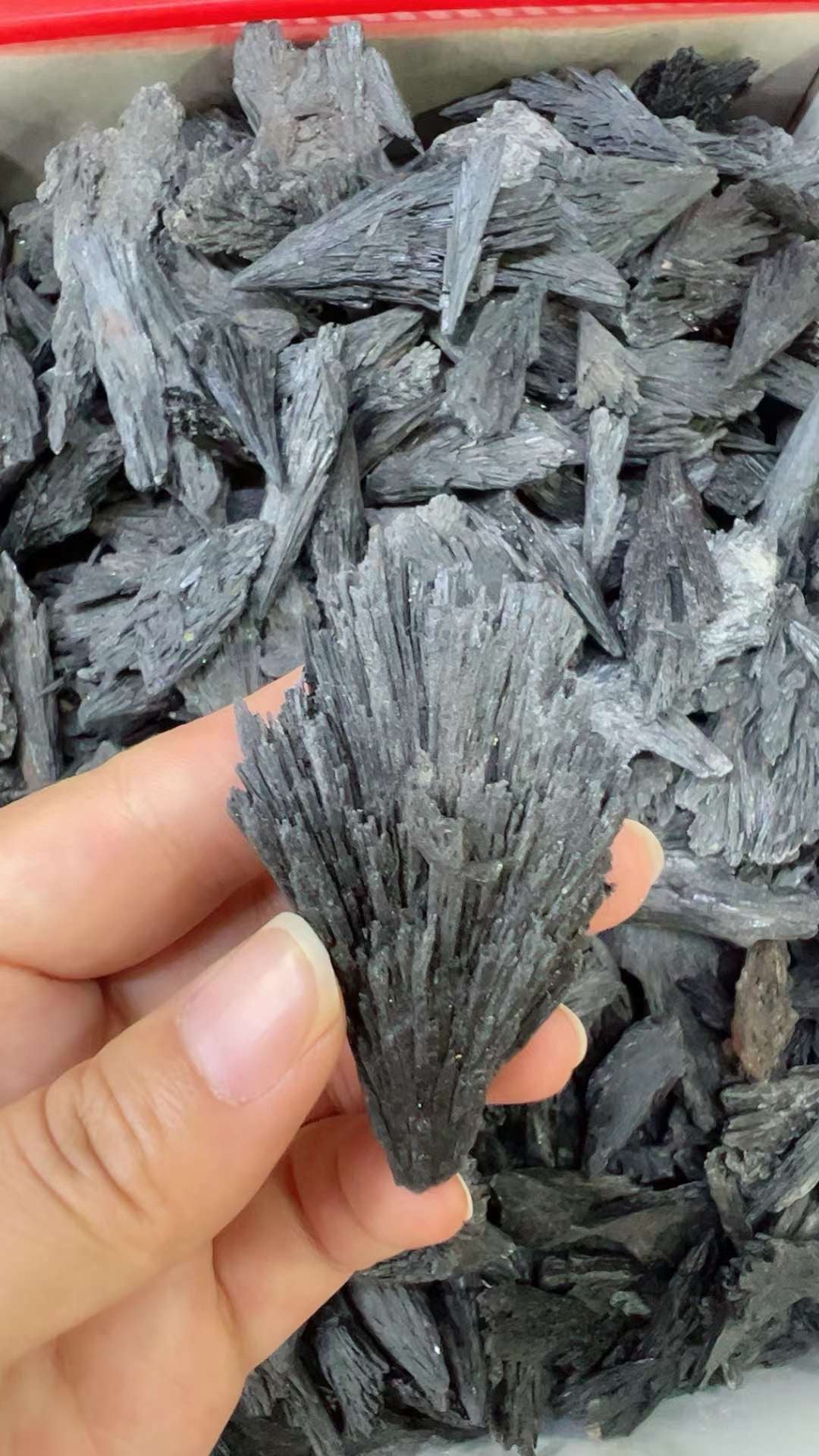 Black Kyanite Rough