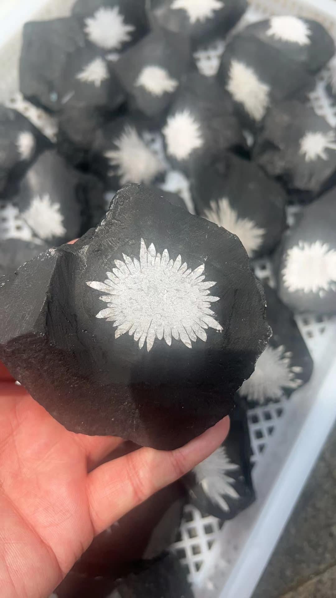 Chrysanthemum Stone