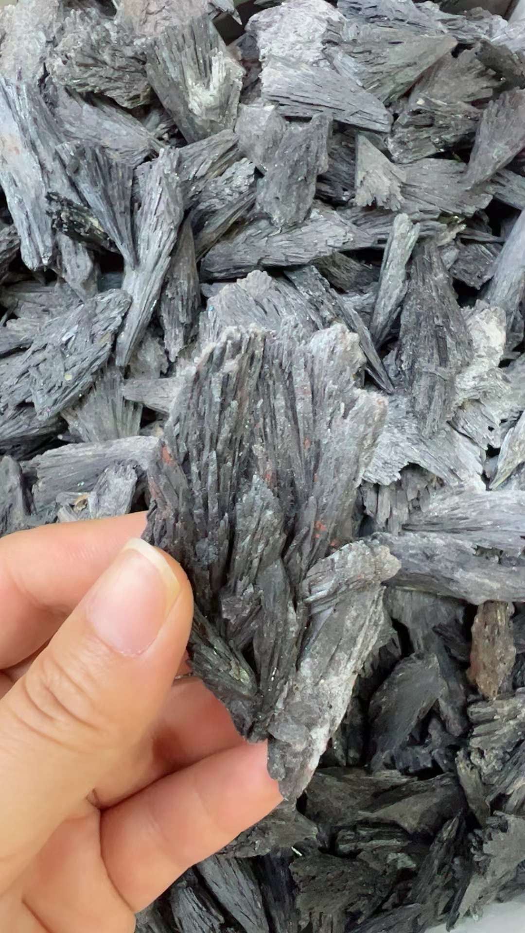 Black Kyanite Rough