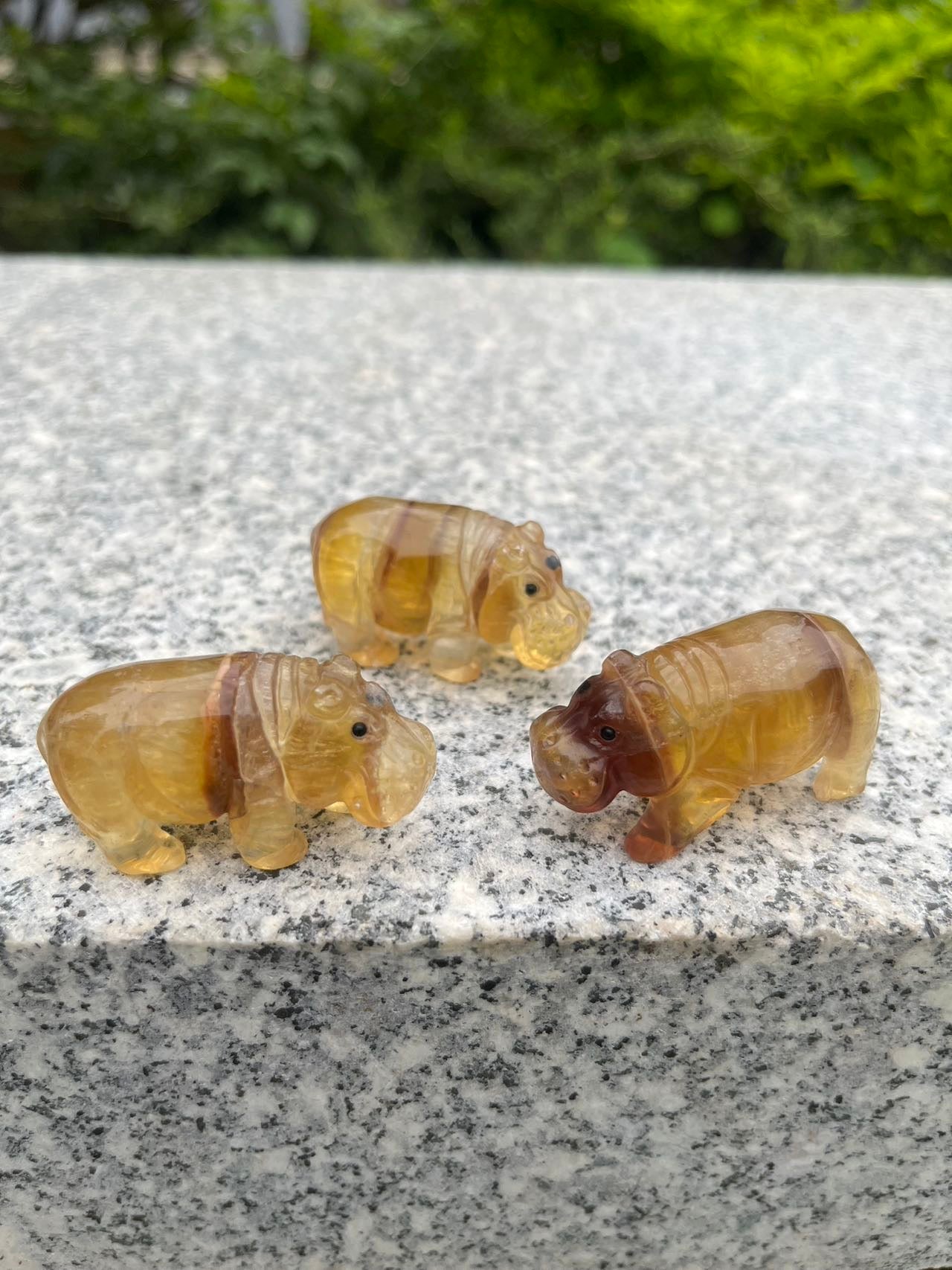 Yellow Fluorite Hippo