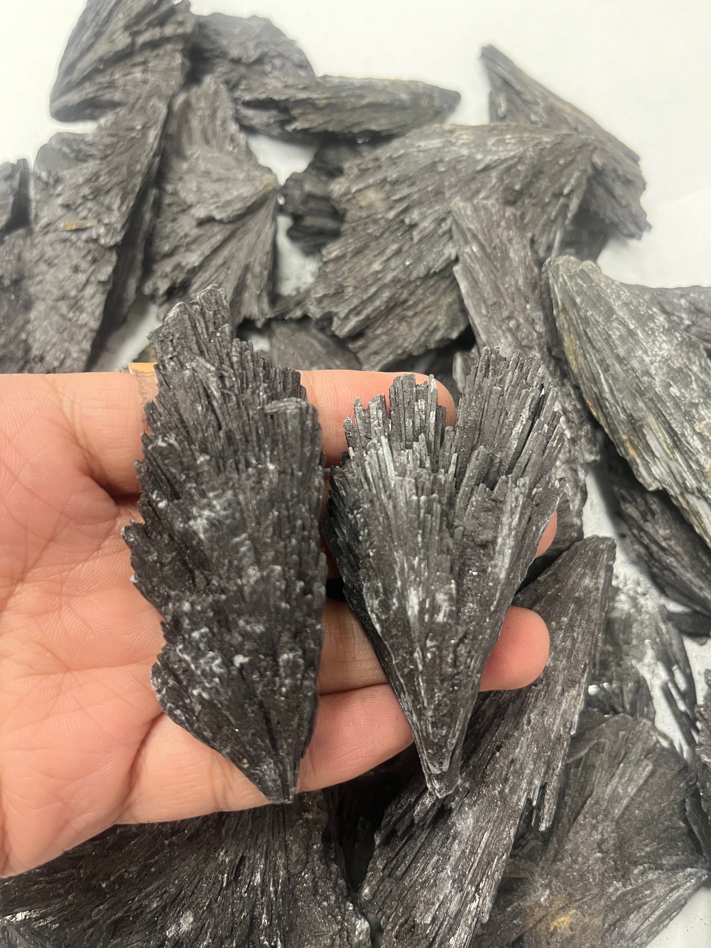 Black Kyanite Rough