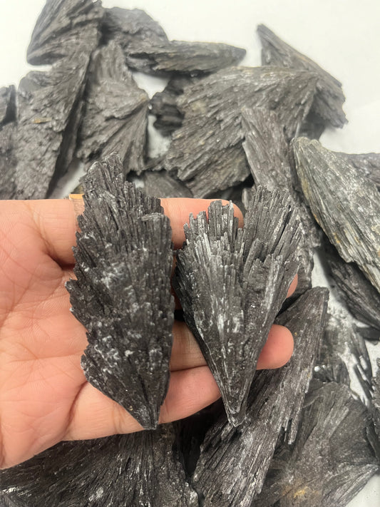 Black Kyanite Rough