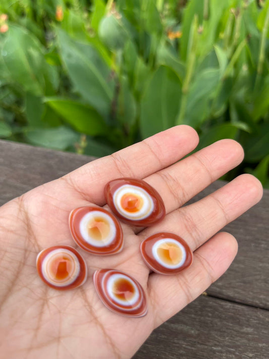 Red agate eye