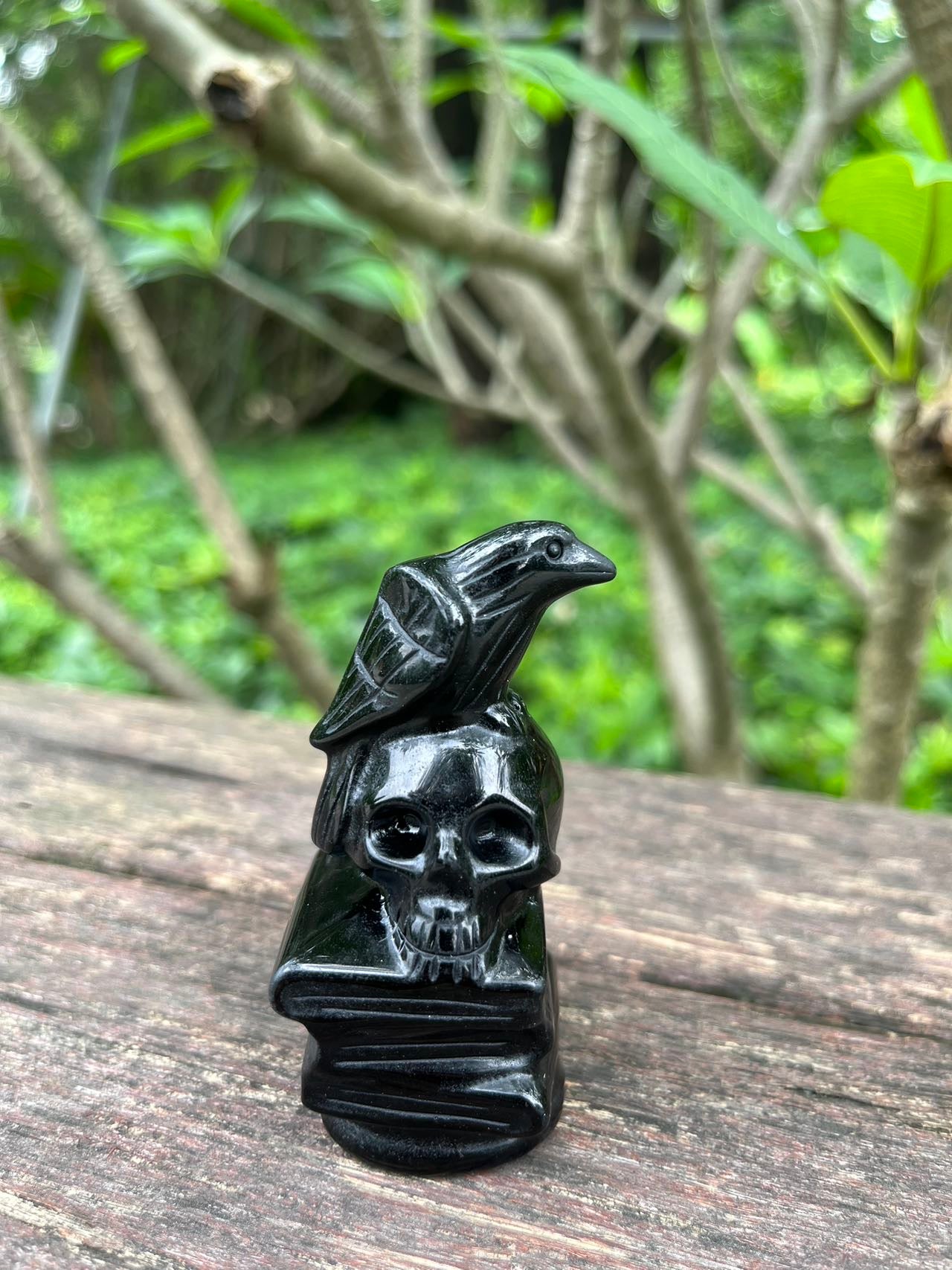 Skull Raven Black Obsidian