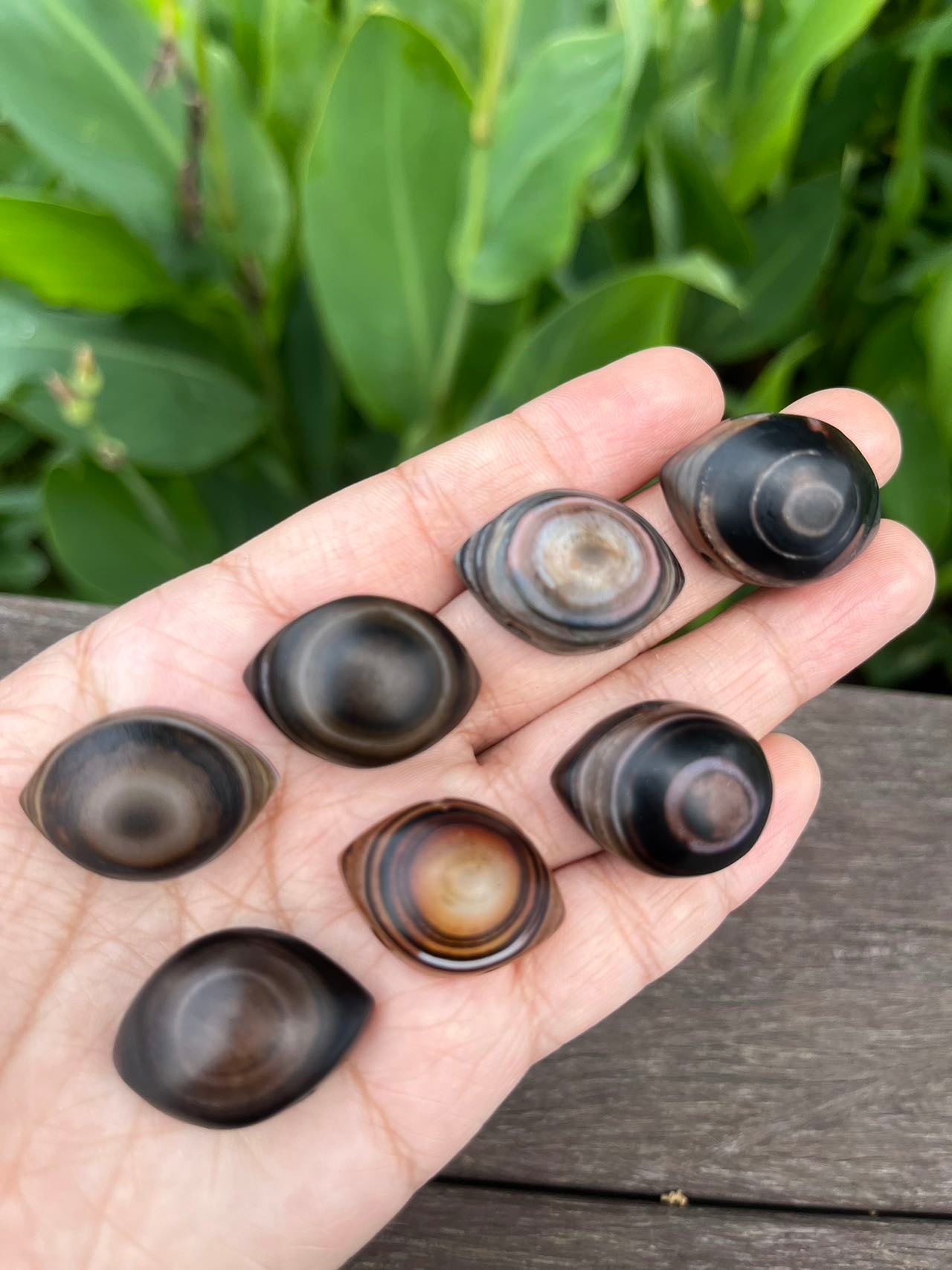 Agate Eye