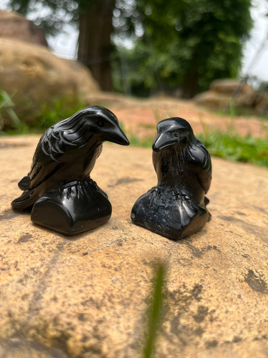 Black Obsidian Raven